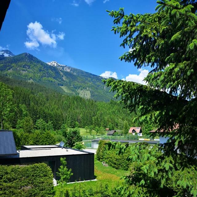 Appartement Haus Edlinger à Hinterstoder Extérieur photo